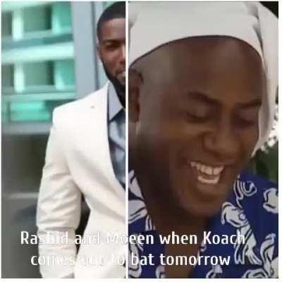 Foxes waiting for their bunny to arrive 