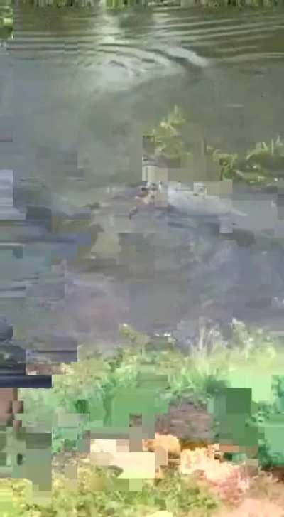 VoCê TeM CaChOrRo 😳