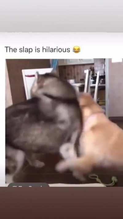 That's one for disturbing the peace