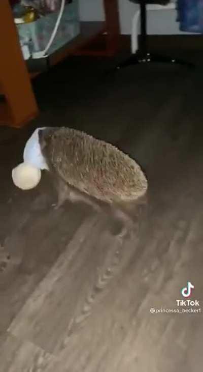 To be a little kid playing with teddy bear