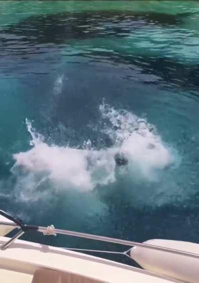 Roxy Dekker & Rhode Kok 👙