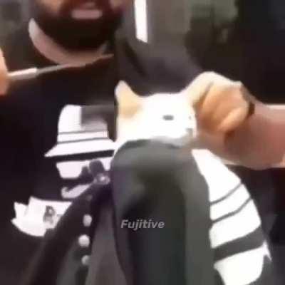 I see this in my sleep