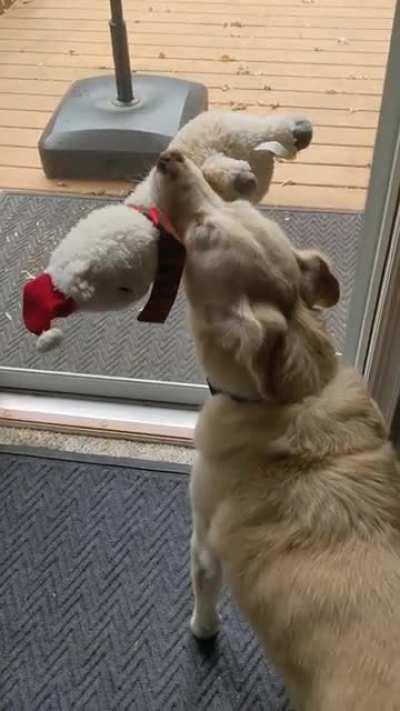 He does this every siren test--which happen at 11:00 AND 11:15 the first Wednesday of the month. Yet when the siren went off at night a few months ago and there was a tornado nearby, not a peep.