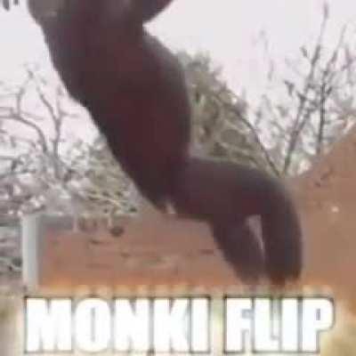 Monke