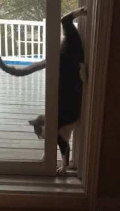 stuck between the screen and the glass