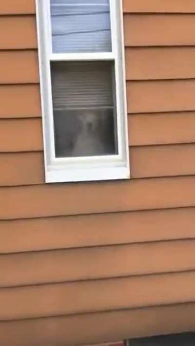 I have got my eyes on you