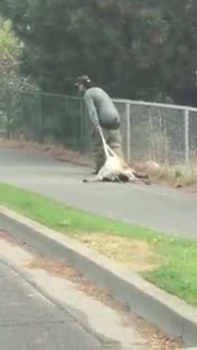 This ain't no hunter