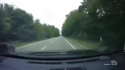 The brain matter platter