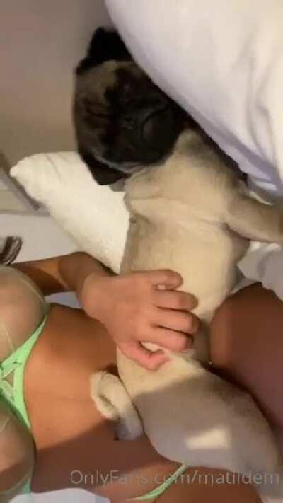 having a little trouble putting videos and pictures in, but I will get it done as promised