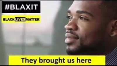 MFW Blaxit
