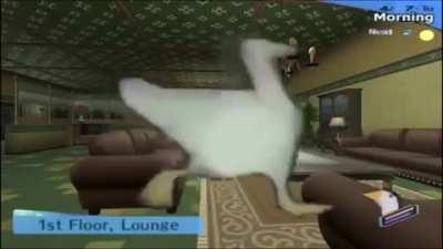 Time to dance to the music caw caw