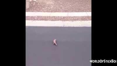 Rolling out the pad like