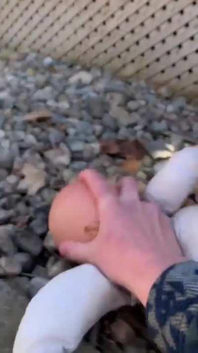 How to deal with dolls