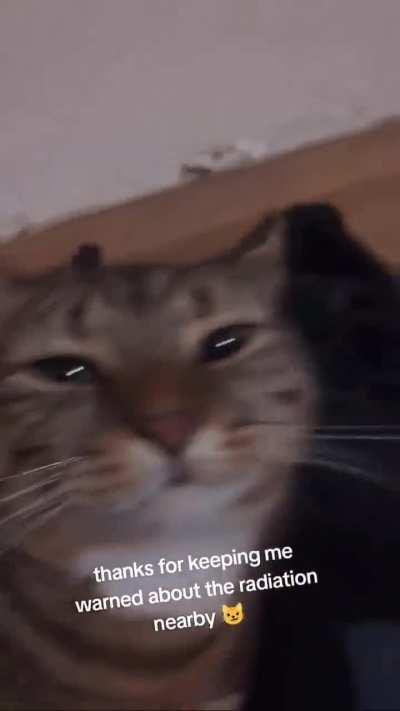 not great, not terrible