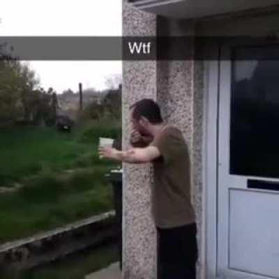 This guy would love some water rn