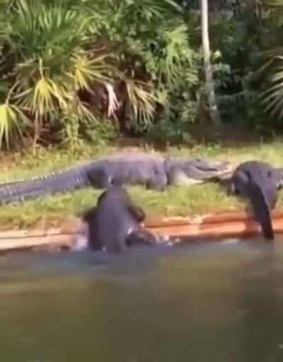 To get out of the water