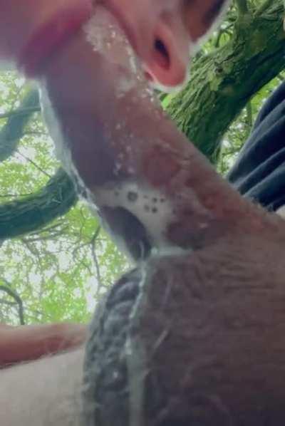 Sometimes you just have to think fuck it and slobber on a cock in the park