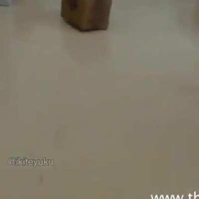 Forget the box, just throw it away.