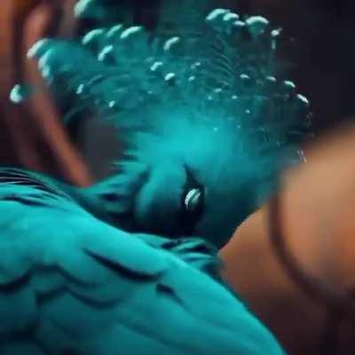 🔥 The fan-bearing crowned pigeon looks majestic!