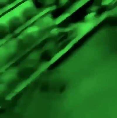 I saw this on Twitter and started dying