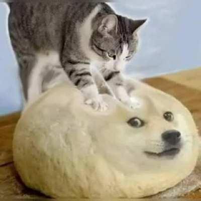 Creditos:renan_ceara(ifunny)