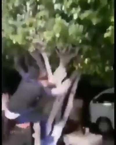 Realmente esto me hace reflexionar ¯\_(ツ)_/¯