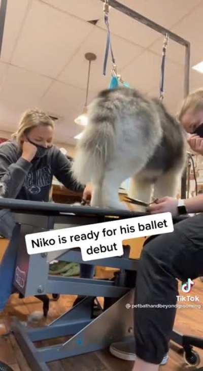 The precision of those kicks 👏🏻