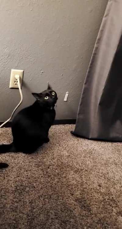 Startled by absolutely nothing.