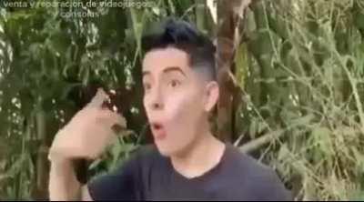 Fino licenciados (posible repost)