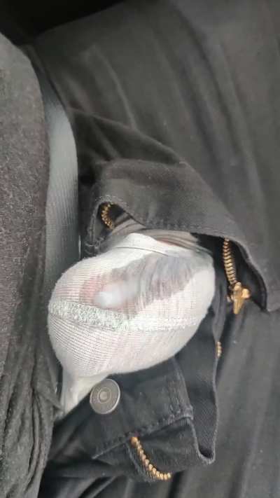 When the in-laws are in town for too long, you drive to the grocery store to edge in the car for a bit