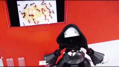 Losercity Lego Animation