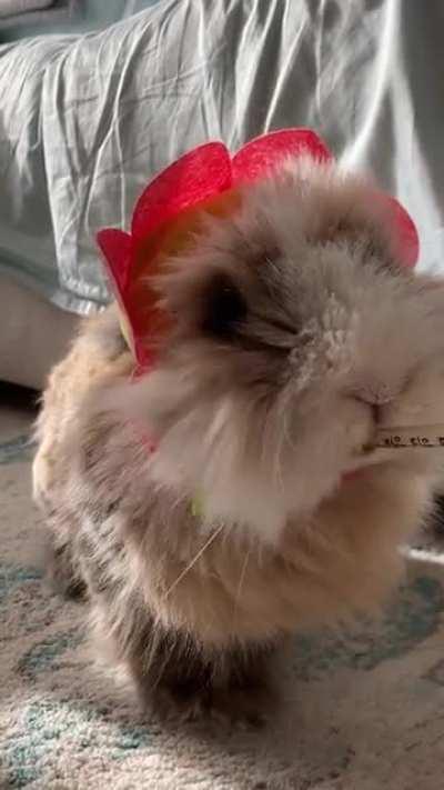 Sweetest little flower boy 🌸