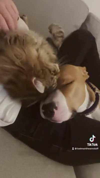 Dont call me cheesy … 🥺😅