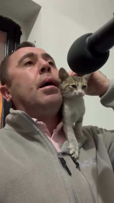 A meowezzin in Turkey 😽🇹🇷