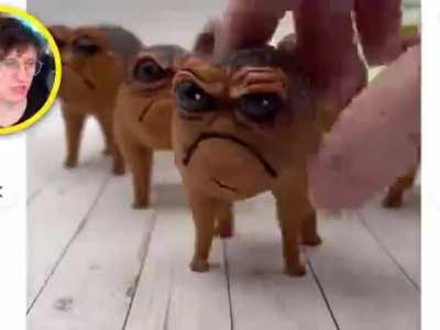 Nikocado’s coin slot.