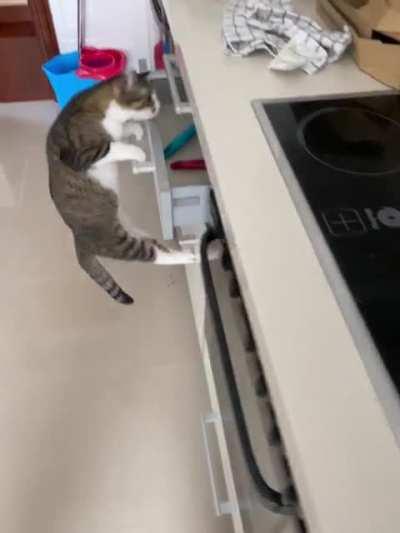 I have learned to open drawers to look for prizes