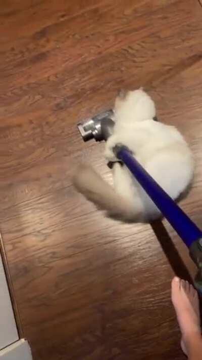 He will never back down from a fight