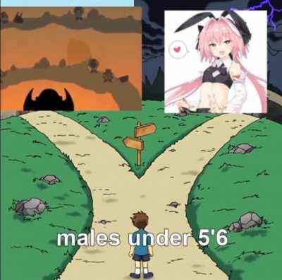 which will you choose~