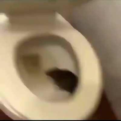 hmmm i wonder where this dirty ass video was taken? 🤔