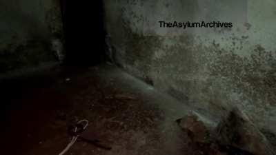 Cursed_894 [Loud] [Conspiracy] [Archive] [Series]