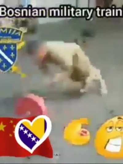 srbija je bosnia🐺🐺🐺🐺🐺🐺🐺🐺🐺🐺🐺💪🏼💪🏼💪🏼🇧🇦💪🏼💪🏼💪🏼💪🏼💪🏼💪🏼💪🏼💪🏼💪🏼💪🏼💪🏼💪🏼🇧🇦🇧🇦🇧🇦🇧🇦🇧🇦🇧🇦🇧🇦🇧🇦🇧🇦🇧🇦🇧🇦🇧🇦🇧🇦🇧🇦🇧🇦🇧🇦🇧🇦🇧🇦🇧🇦🇧🇦🇧🇦🇧🇦🇧🇦