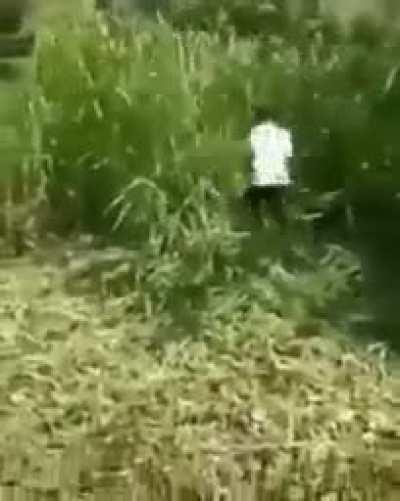 Muquinha capinando lote ?