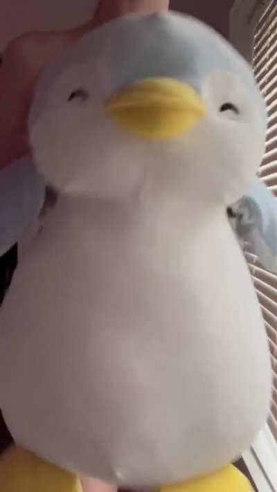 Tight and life to fuck