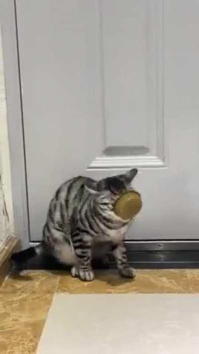 Просчитался, но где?