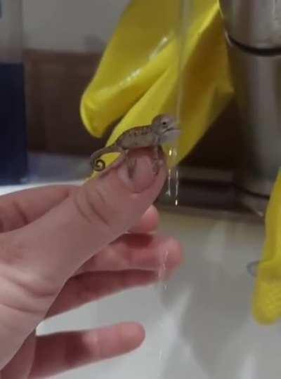 He dreams of conquering real waterfalls.