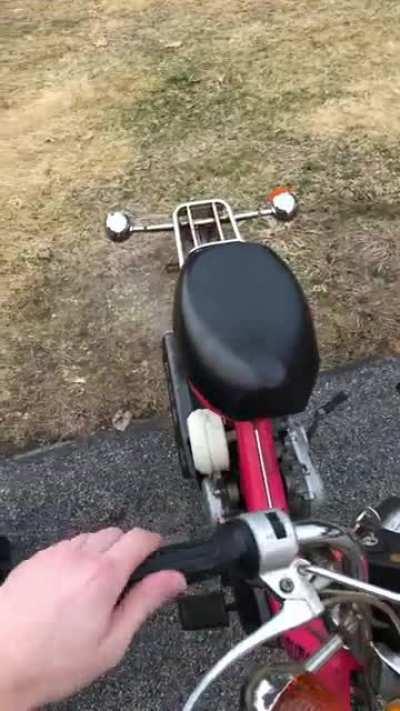 Waking up the herd 🌹🌸🌻