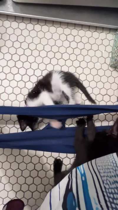 There's a lot going on in my underwear