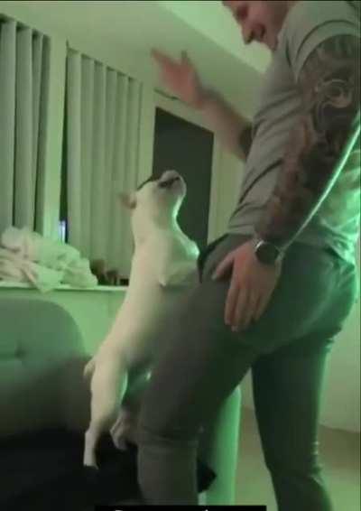 Messing with your dog and getting some ruff karma