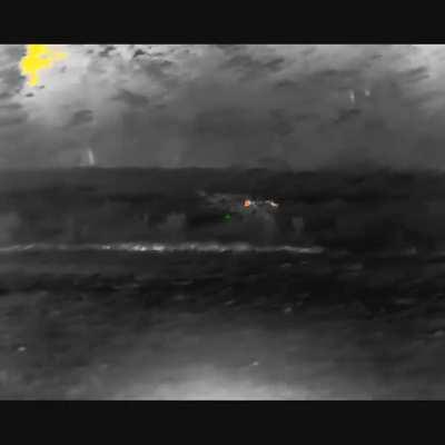 Second pig chose poorly. Easy double with the bolt action. 