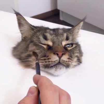 Extremely realistic cat painting!
